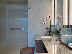 -新加坡文华东方酒店