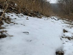 -白水寺森林公园