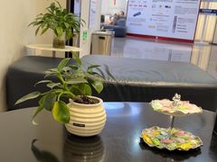 -牙博士口腔品牌连锁(杨浦店)