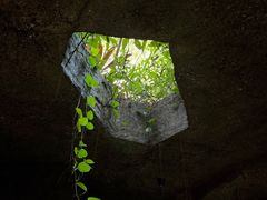 -青青世界