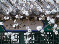 -桃花堤公园