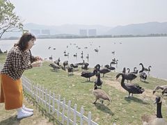 -长兴太湖图影湿地文化园