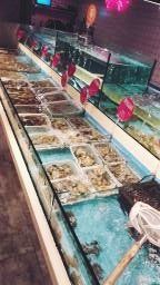 -日进一片海.生腌海鲜火锅.宵夜烧烤(三里屯总店)