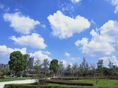 -金陵中学(河西分校)