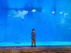 -华夏文旅海洋公园