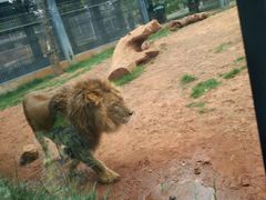 -昆明动物园