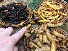 -昆虫窝子·特色云南菜(拓东路总店)