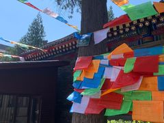 -西安市广仁寺