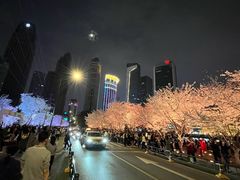 -西北湖绿化广场