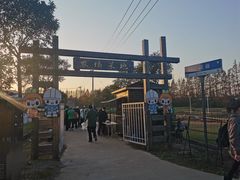 -上海长兴岛郊野公园