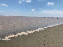 -南汇嘴观海公园