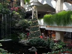 -广州白天鹅宾馆