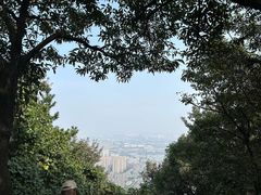 -惠山国家森林公园