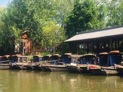 -溱湖国家湿地公园