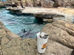 -珠海长隆海洋王国