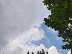-黄兴公园