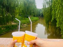 -赵州桥景区