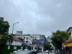 -陶记正宗德州扒鸡(科巷店)