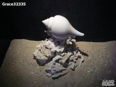 -亚龙湾中心广场·贝壳馆