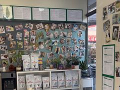 -爱妮康宠物医院·干细胞免疫细胞·肿瘤·心脏(张江店)