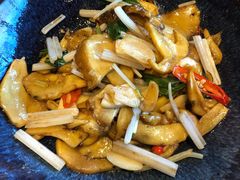 野芫荽炒牛肝菌-半山腰·云南菜(侨福芳草地店)