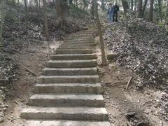 -上海佘山国家森林公园天马山园