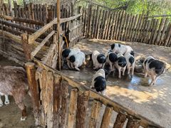 -泉州海丝野生动物世界