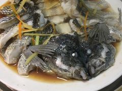 珍珠斑鱼-蔚海之都·象山蒸汽海鲜(仙霞路店)