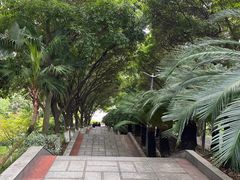 -重庆平顶山公园