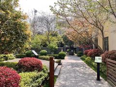 -Le Siècle.百年西餐厅(颐和公馆店)
