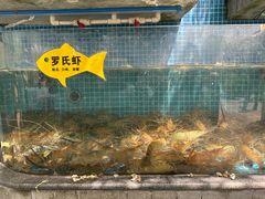 -天怡·鱼工厂(临江店)