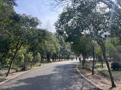 -蜀冈西峰生态公园