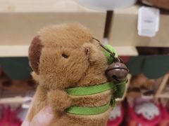 -The Green Party(湛江万达广场店)