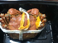 -黄记大闸蟹专卖店·活蟹·醉蟹