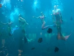 -瑞德姆美人鱼海底演艺主题餐厅(亚龙湾店)