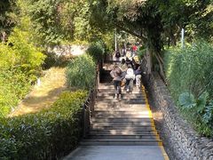 -仙岳公园