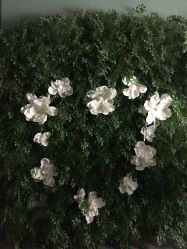 -爱城婚纱摄影·品质严选店