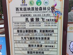 -西双版纳原始森林公园