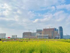 -光明小镇欢乐田园