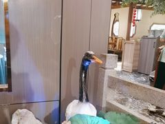 -钱江大院·芳宴江南(三花国际店)