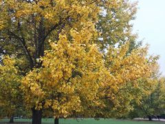 -九又四分之三站台