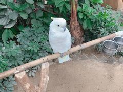 -南宫五洲植物乐园