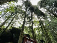 -大围山国家森林公园