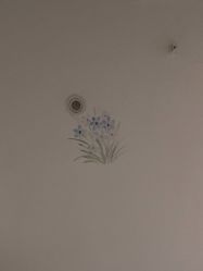 -静博士·养生养颜