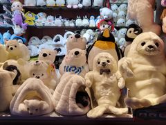 -太平洋海底世界