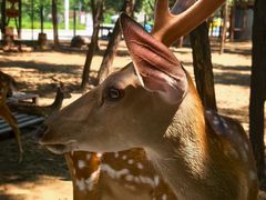 -南戴河国际娱乐中心