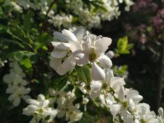 -宝鸡植物园