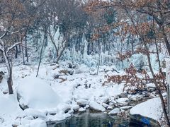 -沂蒙山旅游区云蒙景区(蒙山国家森林公园)