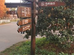 -乌村