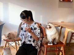 -猫小主咖啡·猫咖cat cafe(福田店)